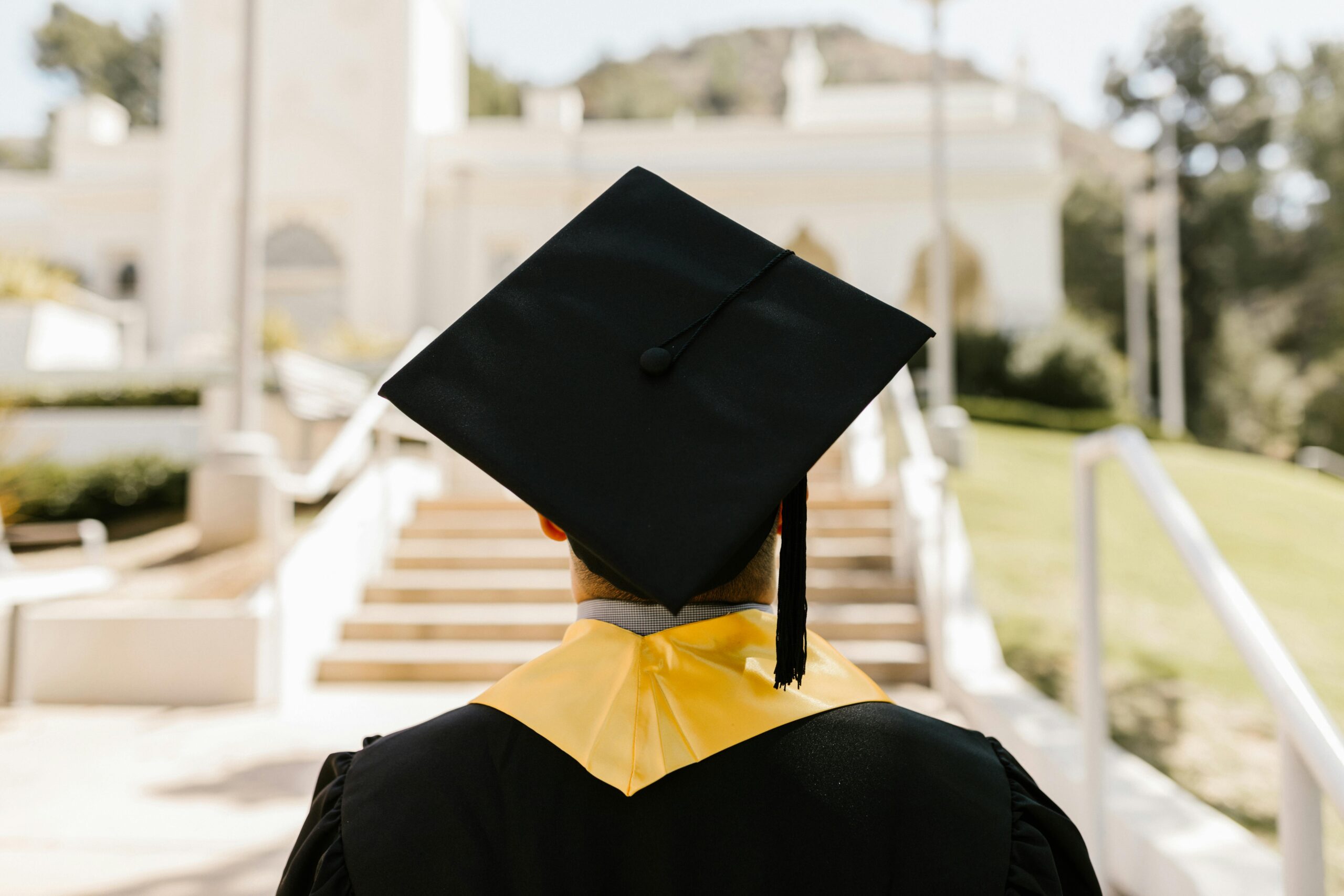 New Zealand 2025: Student-Friendly Visa Policies and Job Market Insights
