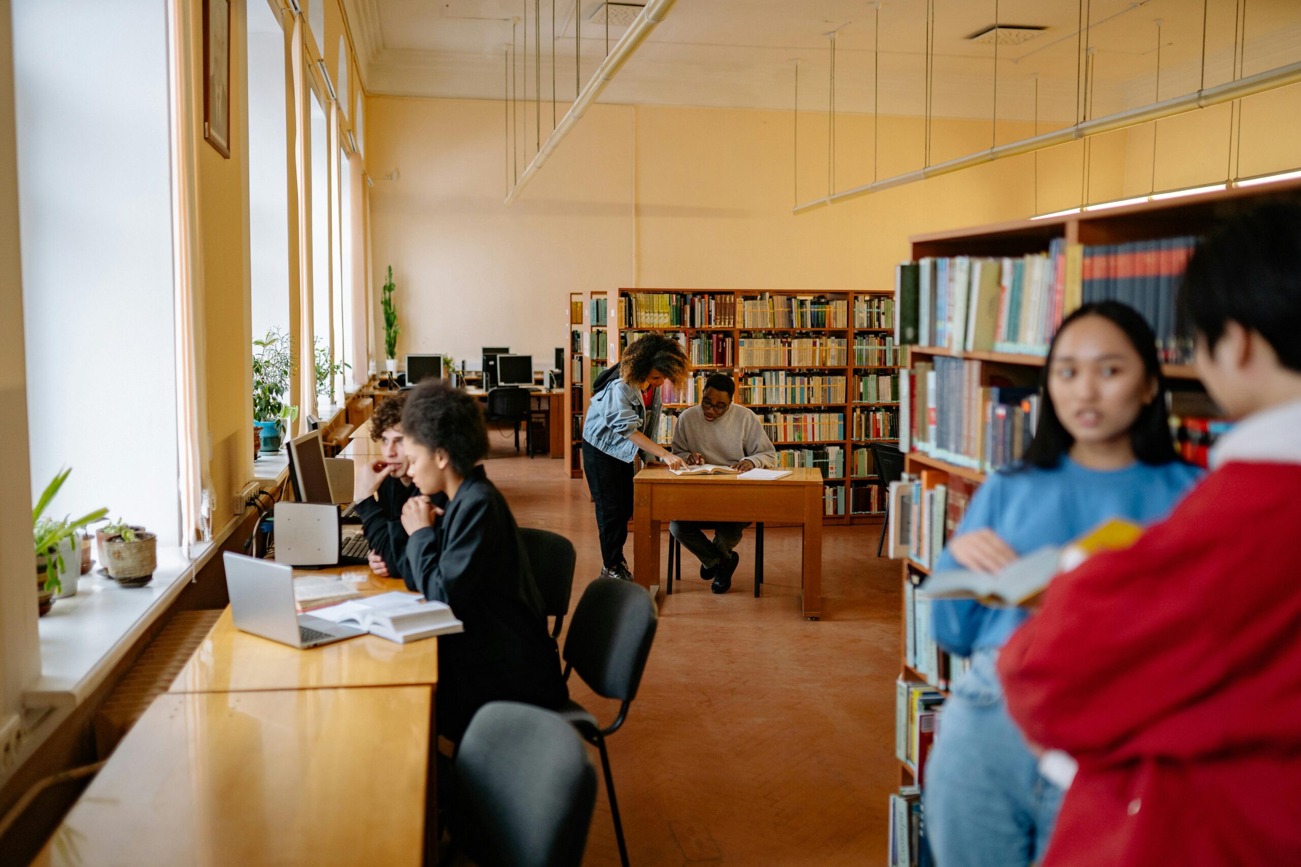 USA vs Germany vs Sweden vs Hungary: Which Study Destination Is Right for You?