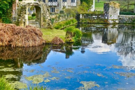 g8115b1a46cd58bac86b7ac829046932d4c0e27a349295adb6701dcc4dba6e16c92049045349b6acedf09e6c666ce46dd7d632c015d4f5980c9278dd3d8c5353f_1280-4943890 g8115b1a46cd58bac86b7ac829046932d4c0e27a349295adb6701dcc4dba6e16c92049045349b6acedf09e6c666ce46dd7d632c015d4f5980c9278dd3d8c5353f_1280-4943890