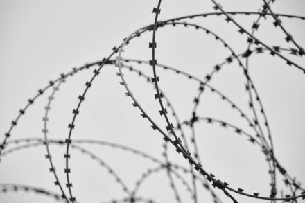 pexels-photo-11654004-11654004-2048x1536 pexels-photo-11654004-11654004-2048x1536