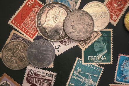 pexels-photo-15258683-15258683-scaled pexels-photo-15258683-15258683-scaled