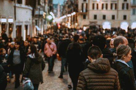 pexels-photo-2064826-2064826-1365x2048 pexels-photo-2064826-2064826-1365x2048